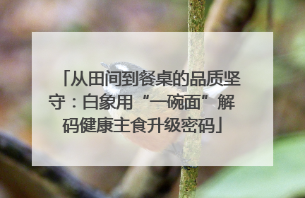 从田间到餐桌的品质坚守：白象用“一碗面”解码健康主食升级密码