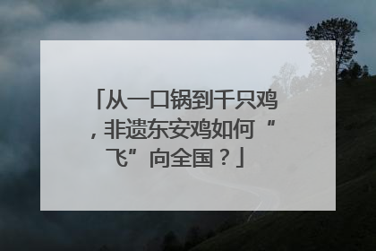 从一口锅到千只鸡，非遗东安鸡如何“飞”向全国？