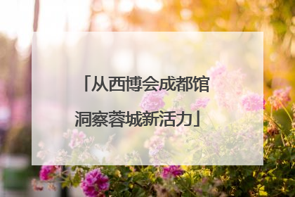 从西博会成都馆洞察蓉城新活力