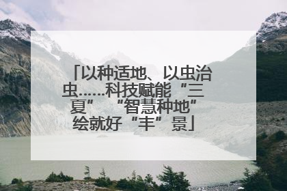 以种适地、以虫治虫……科技赋能“三夏” “智慧种地”绘就好“丰”景