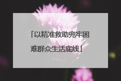 以精准救助兜牢困难群众生活底线