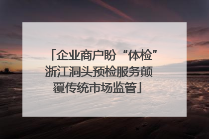 企业商户盼“体检” 浙江洞头预检服务颠覆传统市场监管