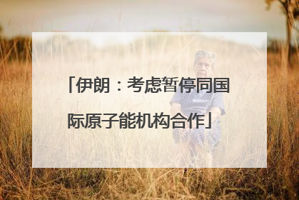 伊朗：考虑暂停同国际原子能机构合作