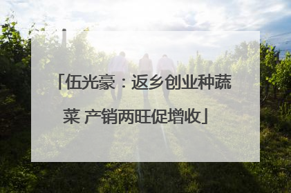 伍光豪：返乡创业种蔬菜 产销两旺促增收