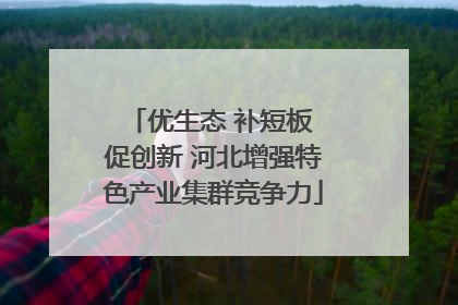 优生态 补短板 促创新 河北增强特色产业集群竞争力