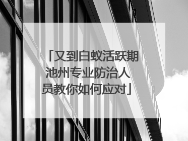 又到白蚁活跃期 池州专业防治人员教你如何应对