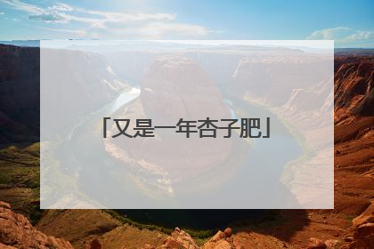又是一年杏子肥