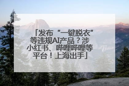 发布“一键脱衣”等违规AI产品？涉小红书、哔哩哔哩等平台！上海出手
