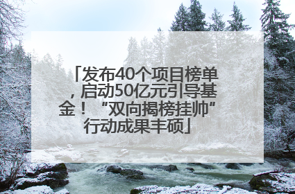 发布40个项目榜单，启动50亿元引导基金！“双向揭榜挂帅”行动成果丰硕