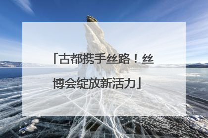 古都携手丝路！丝博会绽放新活力