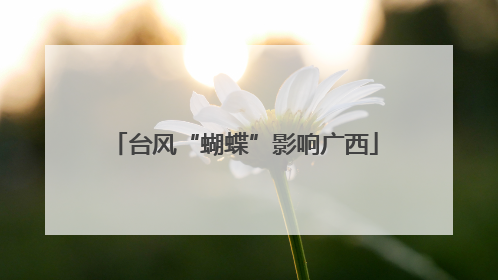 台风“蝴蝶”影响广西