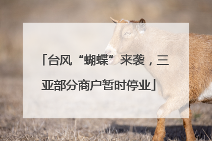 台风“蝴蝶”来袭，三亚部分商户暂时停业