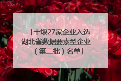 十堰27家企业入选湖北省数据要素型企业（第二批）名单