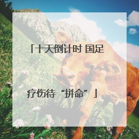 十天倒计时 国足疗伤待“拼命”
