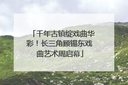千年古镇绽戏曲华彩！长三角顾锡东戏曲艺术周启幕