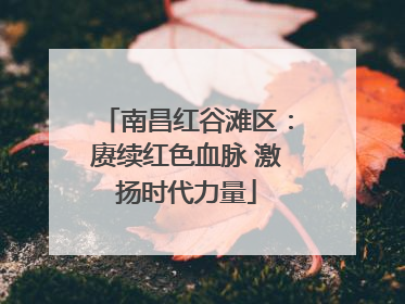 南昌红谷滩区：赓续红色血脉 激扬时代力量