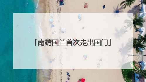 南靖国兰首次走出国门