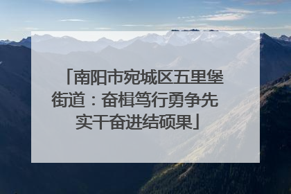 南阳市宛城区五里堡街道：奋楫笃行勇争先 实干奋进结硕果
