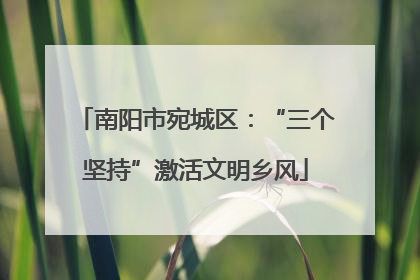 南阳市宛城区：“三个坚持”激活文明乡风