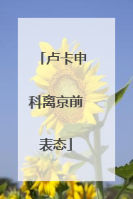 卢卡申科离京前表态
