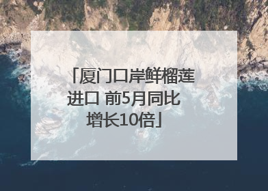 厦门口岸鲜榴莲进口 前5月同比增长10倍