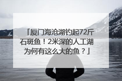 厦门海沧湖钓起72斤石斑鱼！2米深的人工湖为何有这么大的鱼？