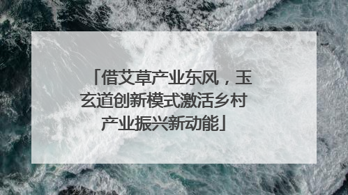 借艾草产业东风，玉玄道创新模式激活乡村产业振兴新动能