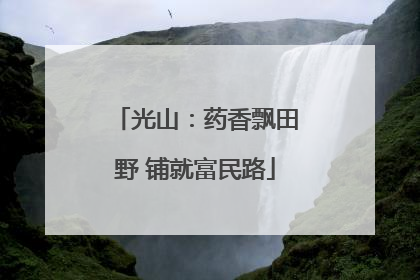 光山：药香飘田野 铺就富民路