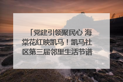 党建引领聚民心 海棠花红映凯马！凯马社区第三届邻里生活节谱写幸福新篇章