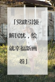 党建引领解民忧，绘就幸福新画卷
