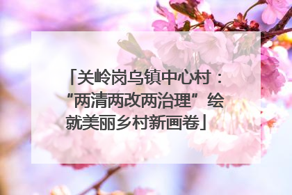 关岭岗乌镇中心村：“两清两改两治理”绘就美丽乡村新画卷
