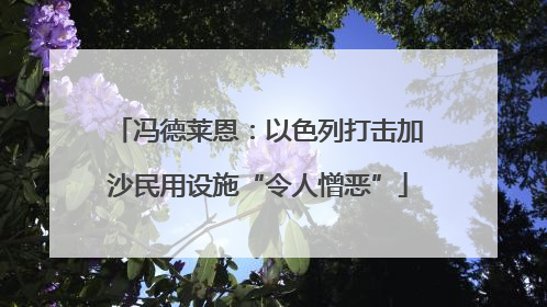 冯德莱恩：以色列打击加沙民用设施“令人憎恶”
