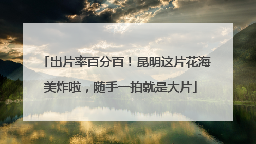 出片率百分百！昆明这片花海美炸啦，随手一拍就是大片