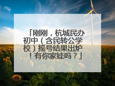 刚刚，杭城民办初中（含民转公学校）摇号结果出炉！有你家娃吗？