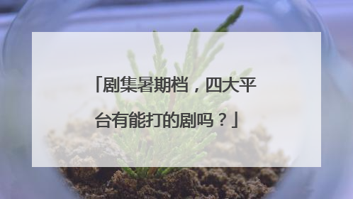 剧集暑期档，四大平台有能打的剧吗？