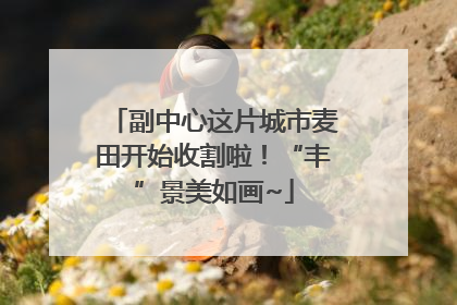 副中心这片城市麦田开始收割啦！“丰”景美如画~