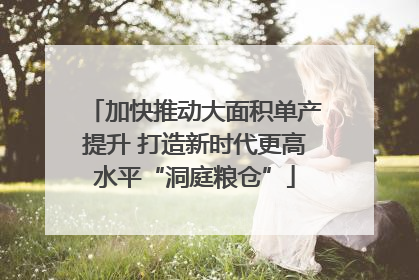 加快推动大面积单产提升 打造新时代更高水平“洞庭粮仓”