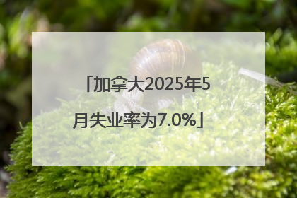 加拿大2025年5月失业率为7.0%