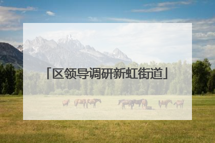 区领导调研新虹街道