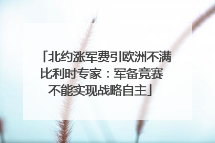 北约涨军费引欧洲不满 比利时专家：军备竞赛不能实现战略自主