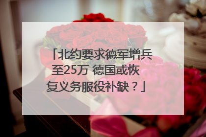北约要求德军增兵至25万 德国或恢复义务服役补缺？