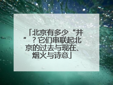北京有多少“井”？它们串联起北京的过去与现在、烟火与诗意