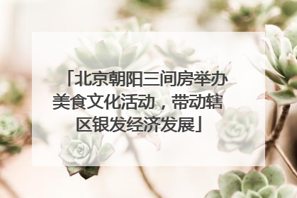 北京朝阳三间房举办美食文化活动，带动辖区银发经济发展