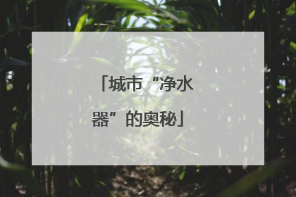 城市“净水器”的奥秘