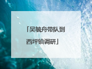 吴毓舟带队到西坪镇调研