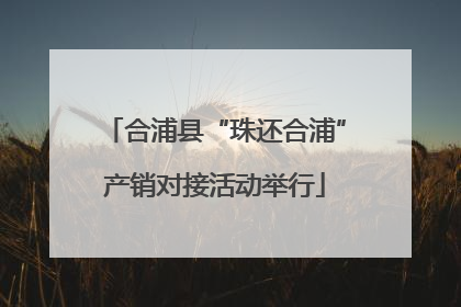 合浦县“珠还合浦”产销对接活动举行