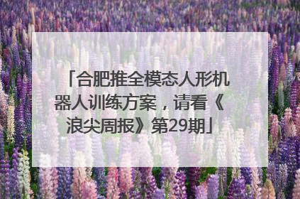 合肥推全模态人形机器人训练方案，请看《浪尖周报》第29期