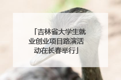吉林省大学生就业创业项目路演活动在长春举行