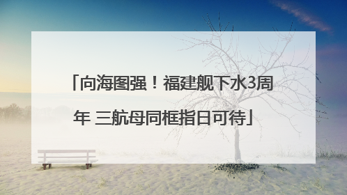 向海图强！福建舰下水3周年 三航母同框指日可待