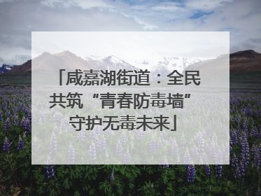 咸嘉湖街道：全民共筑“青春防毒墙” 守护无毒未来